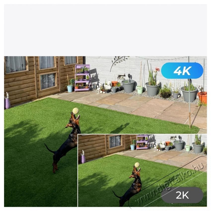 REOLINK P330 IP kamera F&eacute;nyk&eacute;pezőg&eacute;p / kamera - Megfigyelő / IP kamera - 532684