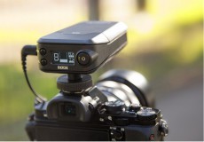 Rode Newsshooter Kit vezeték nélküli mikrofon készlet plug-on adóval Fotó-Videó kiegészítők - Mikrofon - Fotó-videó mikrofon - 315534