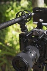 Rode NTG-4 rövid puskamikrofon Fotó-Videó kiegészítők - Mikrofon - Puska mikrofon - 287656