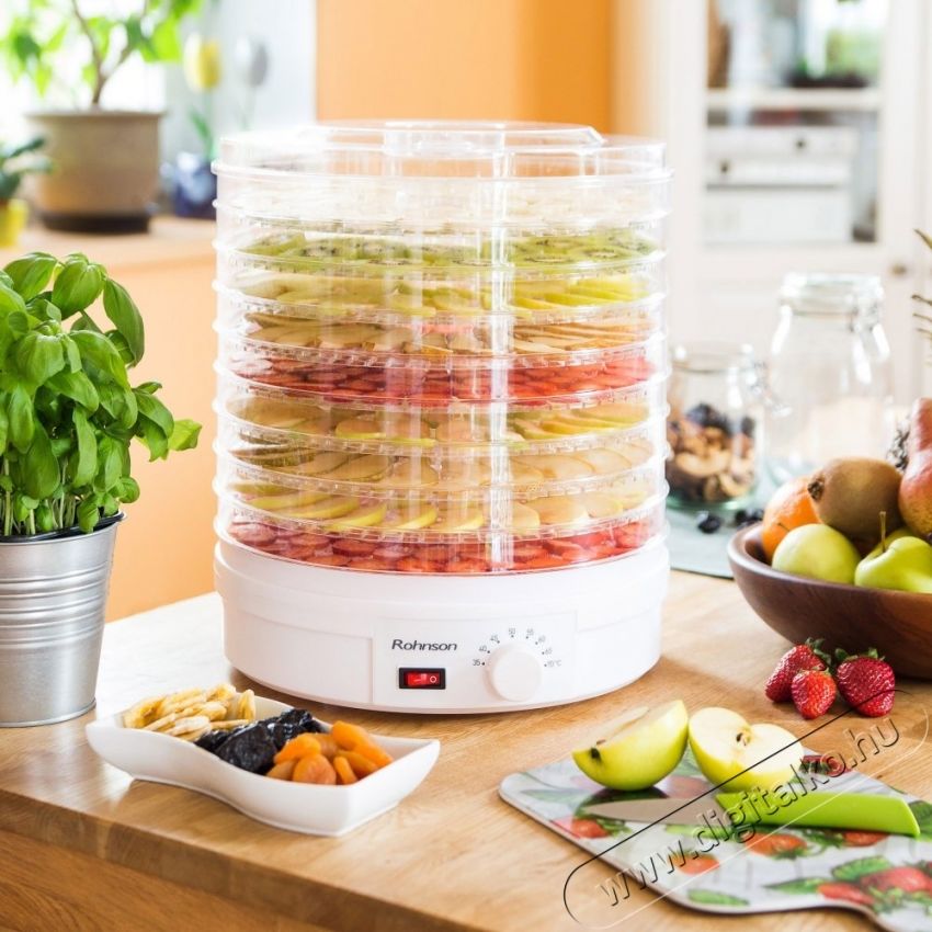 Rohnson R-283 Konyhai term&eacute;kek - Konyhai kisg&eacute;p (s&uuml;t&eacute;s / főz&eacute;s / hűt&eacute;s / &eacute;telk&eacute;sz&iacute;t&eacute;s) - Gy&uuml;m&ouml;lcsaszal&oacute; - 535649