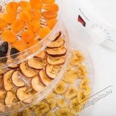 Rohnson R-283 Konyhai term&eacute;kek - Konyhai kisg&eacute;p (s&uuml;t&eacute;s / főz&eacute;s / hűt&eacute;s / &eacute;telk&eacute;sz&iacute;t&eacute;s) - Gy&uuml;m&ouml;lcsaszal&oacute; - 535649