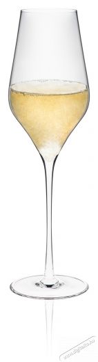 RONA pezsgő/prosecco poharak 4 db 310 ml BALLET Konyhai termékek - Konyhai eszköz - Készlet / szett - 525870