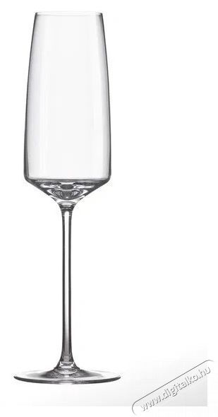 RONA Pezsgőspoh&aacute;r 250 ml VISTA 6 db Konyhai term&eacute;kek - Konyhai eszk&ouml;z - K&eacute;szlet / szett - 525872