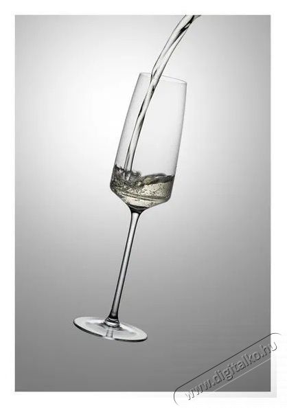 RONA Pezsgőspoh&aacute;r 250 ml VISTA 6 db Konyhai term&eacute;kek - Konyhai eszk&ouml;z - K&eacute;szlet / szett - 525872