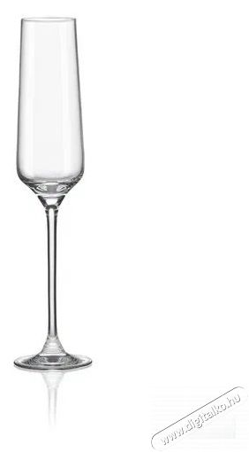 RONA pezsgőspoharak 190 ml CHARISMA 4 db Konyhai termékek - Konyhai eszköz - Készlet / szett - 525875