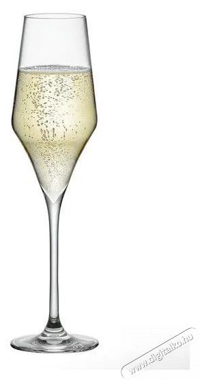 RONA poharak pezsgőh&ouml;z 6 db 220 ml ARAM Konyhai term&eacute;kek - Konyhai eszk&ouml;z - K&eacute;szlet / szett - 525879