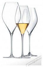 RONA Prosecco pohár 320 ml SWAN 6 db Konyhai termékek - Konyhai eszköz - Készlet / szett - 525882