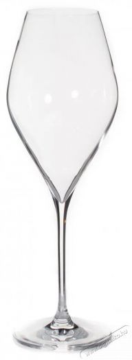 RONA Prosecco pohár 320 ml SWAN 6 db Konyhai termékek - Konyhai eszköz - Készlet / szett - 525882