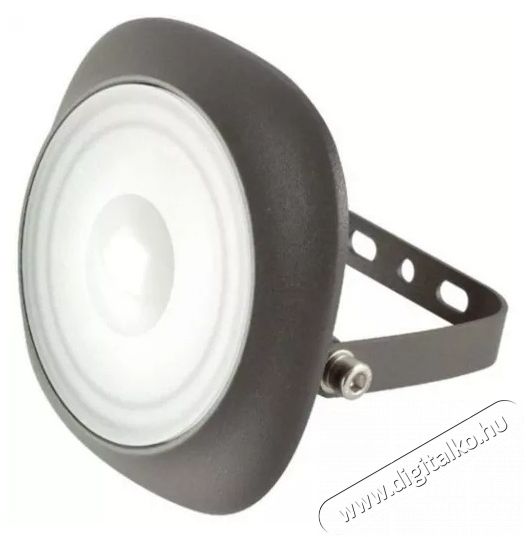 SAL Somogyi FLR 10 LED H&aacute;ztart&aacute;s / Otthon / K&uuml;lt&eacute;r - Vil&aacute;g&iacute;t&aacute;s / elektromoss&aacute;g - Fali / mennyezeti l&aacute;mpa - 335326