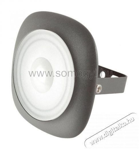 SAL Somogyi FLP 20 LED/G Újdonságok - Új termékek - 341526