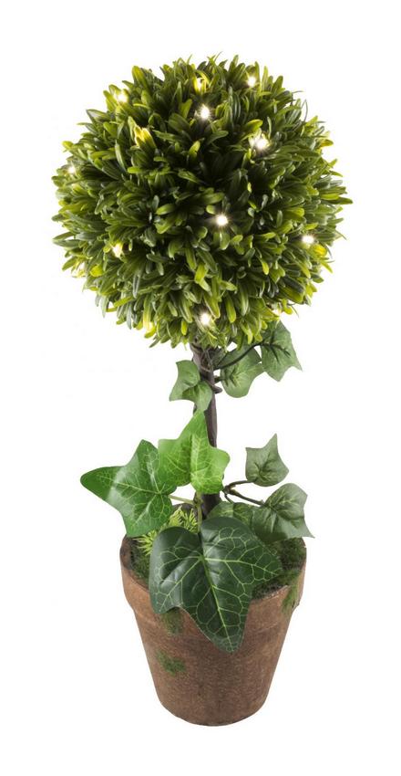SAL Somogyi LED-es buxus, 25 LED, meleg fehér Újdonságok - Új termékek - 329645