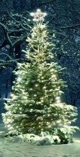 SAL Somogyi LKD 200 TREE LED-es fénypiramis - meleg fehér Háztartás / Otthon / Kültér - Világítás / elektromosság - Hangulat teremtő világítás - 329721