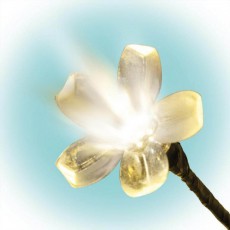 SAL Somogyi CBT 200 LED dekoráció 1,5 m - cseresznyefa Háztartás / Otthon / Kültér - Világítás / elektromosság - Hangulat teremtő világítás - 329819