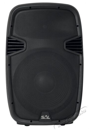 SAL Somogyi PAX 40PRO/A Aktív zenekari hangfal Audio-Video / Hifi / Multimédia - Hangfal - Hangfalszett - Studio / zenekari hangfal - 331736