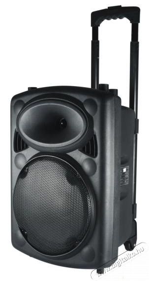 SAL Somogyi PAB 25A Bluetooth hangszóró beépített FM rádióval Audio-Video / Hifi / Multimédia - Party / DJ termék - Party termék - 321601