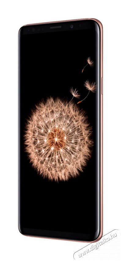 SAMSUNG Galaxy S9+ 64GB Dual SIM (SM-G965FZDDXEH) okostelefon - arany Egyéb - Nem forgalmazzuk ! - 347381