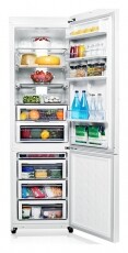 SAMSUNG RL55VTE1L1/XEO hűtőszekrény Konyhai termékek - Hűtő, fagyasztó (szabadonálló) - Alulfagyasztós kombinált hűtő - 294113