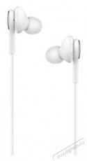 SAMSUNG EO-IC100BWEGEU Type-C headset Audio-Video / Hifi / Multimédia - Fül és Fejhallgatók - Fülhallgató mikrofonnal / headset - 379038