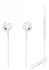 SAMSUNG EO-IC100BWEGEU Type-C headset Audio-Video / Hifi / Multimédia - Fül és Fejhallgatók - Fülhallgató mikrofonnal / headset - 379038