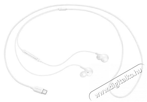 SAMSUNG EO-IC100BWEGEU Type-C headset Audio-Video / Hifi / Multimédia - Fül és Fejhallgatók - Fülhallgató mikrofonnal / headset - 379038
