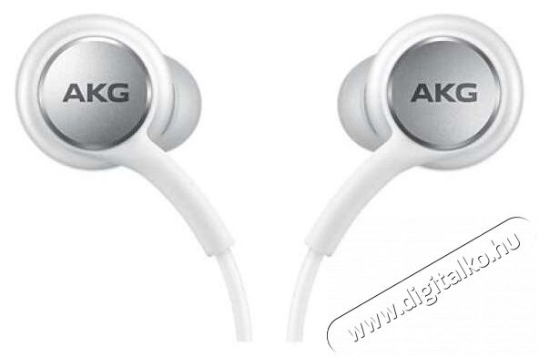 SAMSUNG EO-IC100BWEGEU Type-C headset Audio-Video / Hifi / Multimédia - Fül és Fejhallgatók - Fülhallgató mikrofonnal / headset - 379038