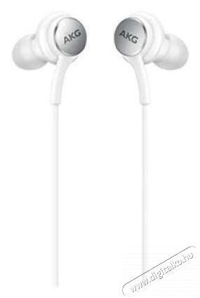 SAMSUNG EO-IC100BWEGEU Type-C headset Audio-Video / Hifi / Multimédia - Fül és Fejhallgatók - Fülhallgató mikrofonnal / headset - 379038