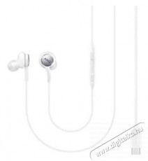 SAMSUNG EO-IC100BWEGEU Type-C headset Audio-Video / Hifi / Multimédia - Fül és Fejhallgatók - Fülhallgató mikrofonnal / headset - 379038