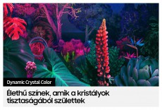 SAMSUNG 65 UE65BU8002KXXH 4K UHD Smart LED TV Televíziók - LED televízió - UHD 4K felbontású - 399877