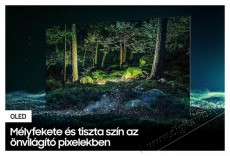 SAMSUNG QE65S95BATXXH UHD OLED SMART TV Televíziók - OLED televízió - UHD 4K felbontású - 399719