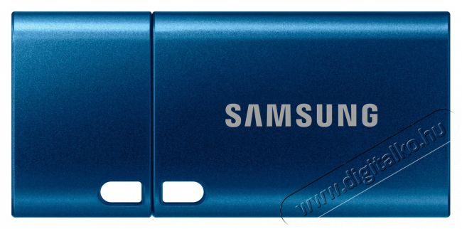 SAMSUNG USB Type-C 64 GB flash drive Memória kártya / Pendrive - Pendrive - 461886