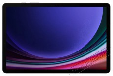 SAMSUNG Galaxy Tab S9 (X710) 8/128GB grafit Wi-Fi tablet  Egyéb - Nem forgalmazzuk ! - 477739