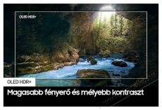 SAMSUNG QE55S90DAEXXH OLED S90D 4K Smart TV Televíziók - OLED televízió - UHD 4K felbontású - 501405