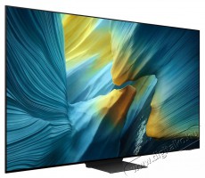 SAMSUNG 83  QE83S95F Televíziók - OLED televízió - UHD 4K felbontású - 506018