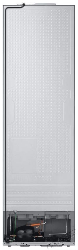 SAMSUNG RB38C600DSA/EF Konyhai term&eacute;kek - Hűtő, fagyaszt&oacute; (szabadon&aacute;ll&oacute;) - Alulfagyaszt&oacute;s kombin&aacute;lt hűtő - 509608