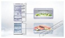 SAMSUNG BRB70F30BES0EO Konyhai term&eacute;kek - Hűtő, fagyaszt&oacute; (be&eacute;p&iacute;thető) - Alulfagyaszt&oacute;s kombin&aacute;lt hűtő - 509293