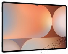 SAMSUNG Galaxy Tab S10 Ultra WiFi 12GB / 256GB Platinum Silver tablet Mobil / Kommunikáció / Smart - Tablet - Android tablet - 521341