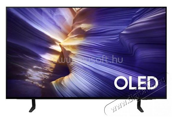 SAMSUNG 42  QE42S90F Telev&iacute;zi&oacute;k - OLED telev&iacute;zi&oacute; - UHD 4K felbont&aacute;s&uacute; - 530718