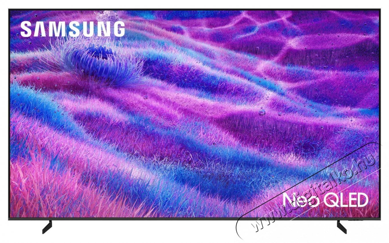SAMSUNG 100  QE100QN80F Telev&iacute;zi&oacute;k - OLED telev&iacute;zi&oacute; - UHD 4K felbont&aacute;s&uacute; - 530719
