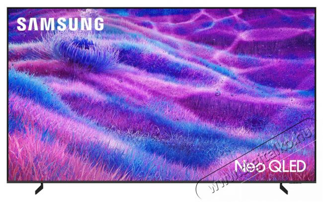SAMSUNG 100  QE100QN80F Telev&iacute;zi&oacute;k - OLED telev&iacute;zi&oacute; - UHD 4K felbont&aacute;s&uacute; - 530719