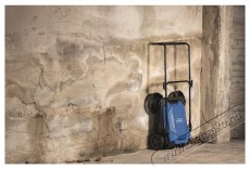 SCHEPPACH S 800 Mechanikus seprőgép Háztartás / Otthon / Kültér - Porszívó / takarítógép - Seprőgép - 515791