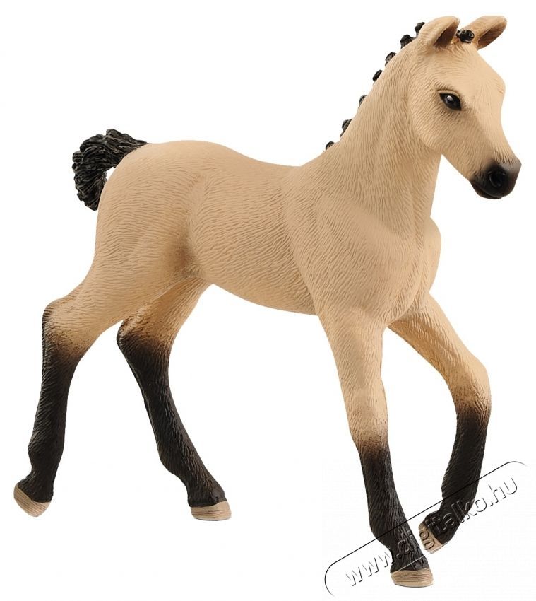 Schleich hannoveri csik&oacute; pej figura H&aacute;ztart&aacute;s / Otthon / K&uuml;lt&eacute;r - J&aacute;t&eacute;k / Sport - J&aacute;t&eacute;kfigura - 533779