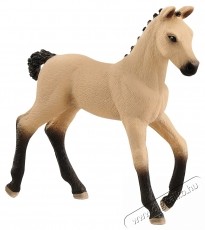 Schleich hannoveri csik&oacute; pej figura H&aacute;ztart&aacute;s / Otthon / K&uuml;lt&eacute;r - J&aacute;t&eacute;k / Sport - J&aacute;t&eacute;kfigura - 533779