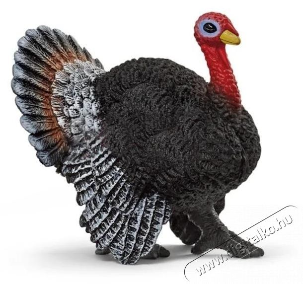 Schleich pulykakakas figura H&aacute;ztart&aacute;s / Otthon / K&uuml;lt&eacute;r - J&aacute;t&eacute;k / Sport - J&aacute;t&eacute;kfigura - 534622