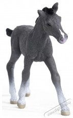 Schleich trakehner csik&oacute; figura H&aacute;ztart&aacute;s / Otthon / K&uuml;lt&eacute;r - J&aacute;t&eacute;k / Sport - J&aacute;t&eacute;kfigura - 533764