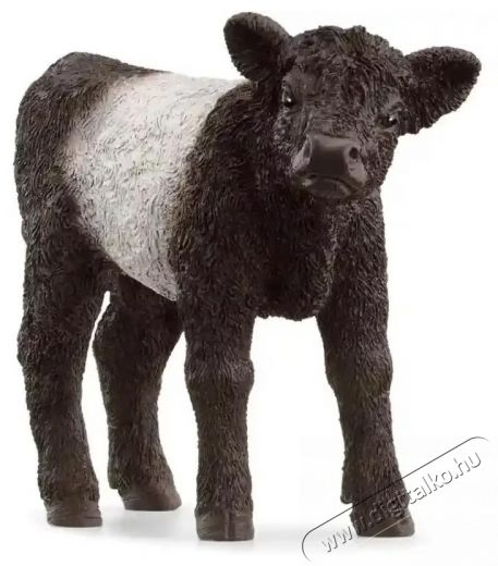 Schleich 13969 figura, Farm World, Galloway borj&uacute; H&aacute;ztart&aacute;s / Otthon / K&uuml;lt&eacute;r - J&aacute;t&eacute;k / Sport - J&aacute;t&eacute;kfigura - 533751