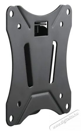 SCHWAIGER Fixed 1 LWHF2725513 13 - 29 LCD TV fali tart&oacute; Tv kieg&eacute;sz&iacute;tők - Fali tart&oacute; / konzol - Fali tv tart&oacute; - 531476