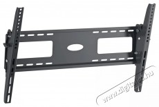 SCHWAIGER Tilt 3 LWHT7050513 37 - 70 LCD TV-fali tart&oacute; Tv kieg&eacute;sz&iacute;tők - Fali tart&oacute; / konzol - Fali tv tart&oacute; - 531492
