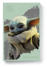 Seagate FireCuda Star Wars Grogu 2,5 2TB USB 3.0 külső winchester Egyéb - Nem forgalmazzuk ! - 492416