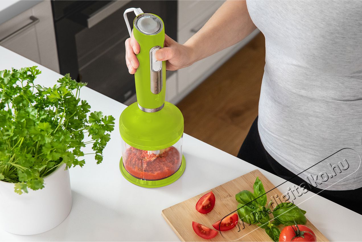 Sencor SHB 4461GR Botmixer szett - zöld Konyhai termékek - Konyhai kisgép (előkészítés / feldolgozás) - Botmixer - 349315