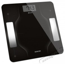 Sencor SBS 8002BK Smart Fitness Mérleg Szépségápolás / Egészség - Mérleg - Személy mérleg - 494467